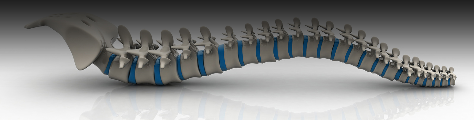 Spine-Banner-Photo Spine-Banner-Photo